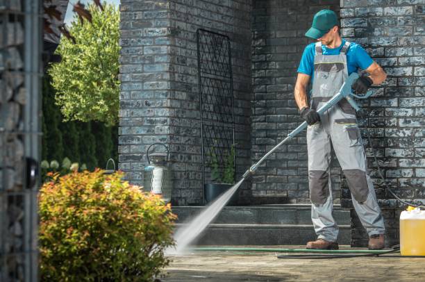 Animal Enclosure Cleaning in Hypoluxo, FL